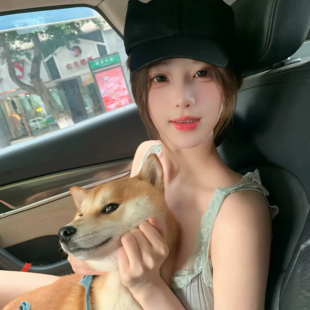 四光猪现蠢记