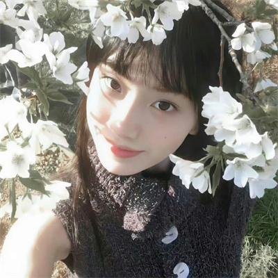 条子阿不拉
