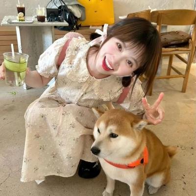 陷入纯情
